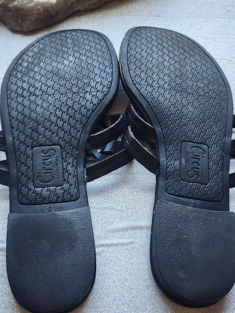 Circus by Sam Edelman Black Leather Slide Sandals
